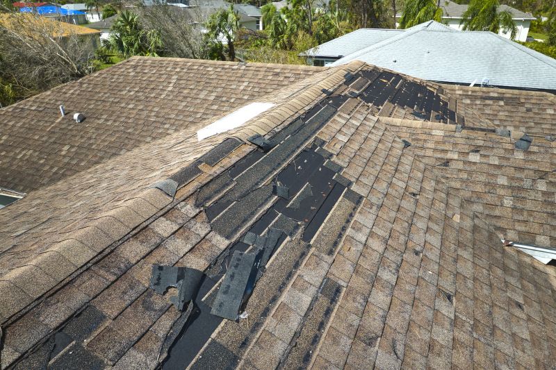Professional Asphalt Shingle Repair 2